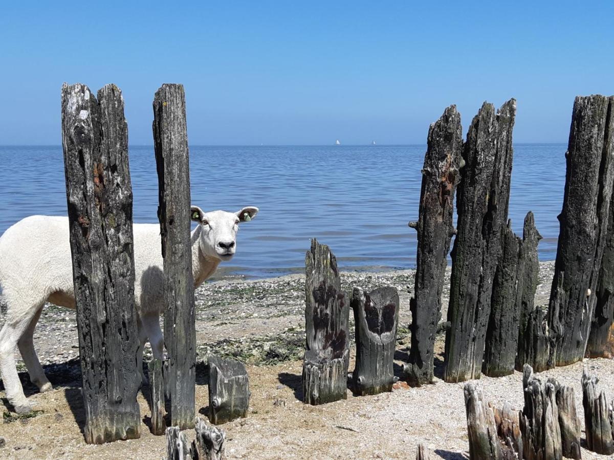 Wad'Ngeluk Villa Paesens Dış mekan fotoğraf